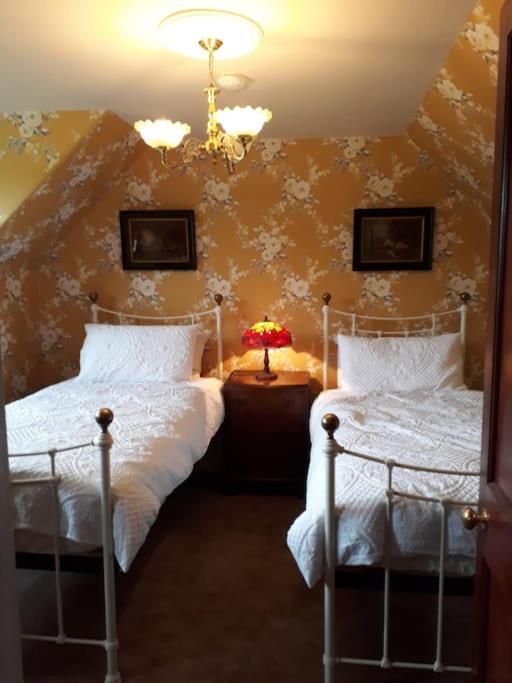 Beautiful Traditional Secluded Country Cottage Sanquhar Luaran gambar